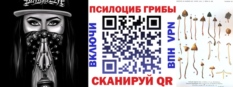 Галлюциногенные грибы ЛСД  цена   MEGA вход  Губаха 
